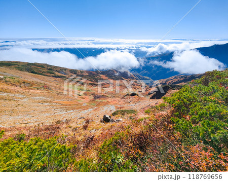 秋の唐松岳登山(八方池~丸山) 秋の唐松岳登山(八方池~丸山) 118769656