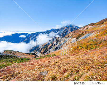 秋の唐松岳登山（八方池～丸山：五竜岳を望む） 118769666
