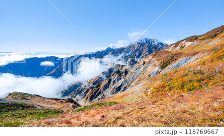秋の唐松岳登山（八方池～丸山：五竜岳を望む） 118769667