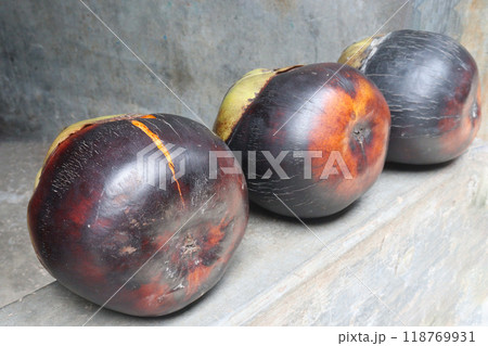 Borassus palm on house for eat and sell Borassus palm on house for eat and sell 118769931