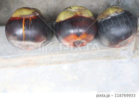 Borassus palm on house for eat and sell 118769933