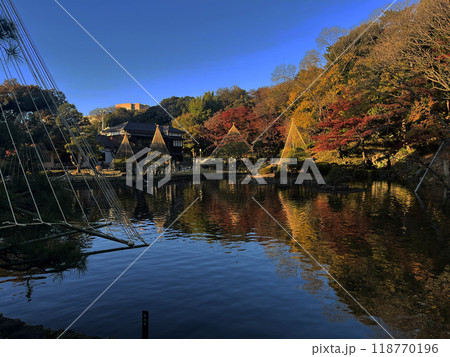 肥後細川庭園 118770196