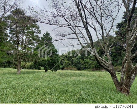 続日本100名城 知覧城 本丸 続日本100名城 知覧城 本丸 118770241