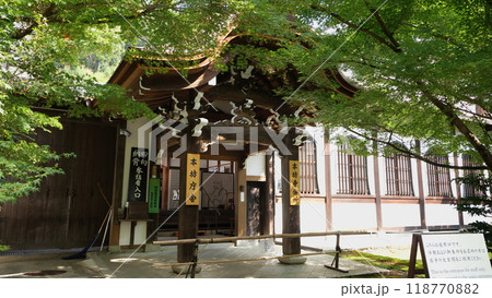緑に囲まれた寺社 118770882