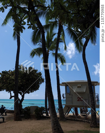 ハワイ　ワイキキ 118770988