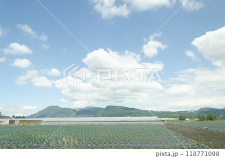 Agricultural farms in Fraser Valley, BC, Canada Agricultural farms in Fraser Valley, BC, Canada 118771098