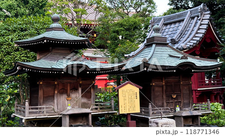 japanese temple in the jungle 118771346