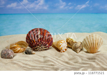 the beach of a tropical Paradise sea island, with shells and the shade of palm trees 118771521