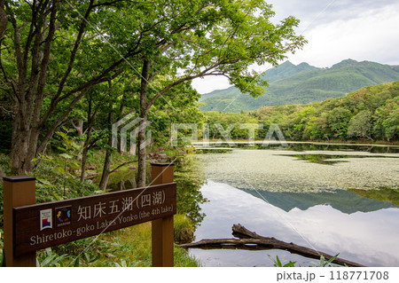 北海道　知床五湖　四湖 118771708