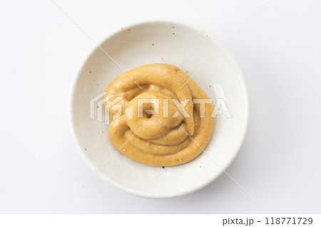 チューブの練りからし チューブの練りからし 118771729