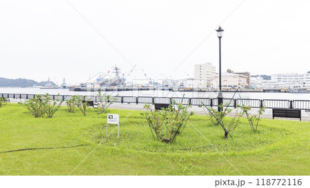 ウェルニー公園から見た港 ウェルニー公園から見た港 118772116