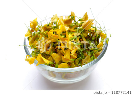 Sesbania flower on white background. 118772141