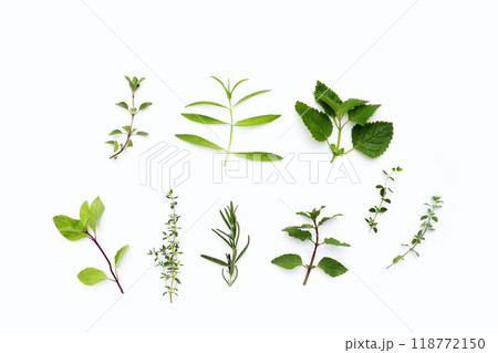 Fresh herbs on white background. 118772150