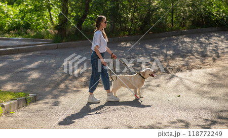 Blind woman walking with guide dog in the park.  118772249
