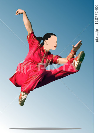 Oriental combat sports. Wu-shu. Colored 3d vector hand drawn  illustration. 118772406