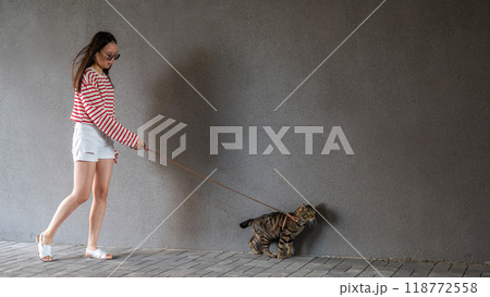 A young woman walks with a gray tabby cat on a leash against a gray wall. A young woman walks with a gray tabby cat on a leash against a gray wall. 118772558