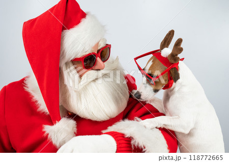 Portrait of santa claus in sunglasses and dog jack russell terrier in rudolf reindeer ears on a white background.  118772665