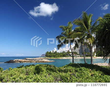 ハワイ オアフ島 コオリナ ハワイ オアフ島 コオリナ 118772691