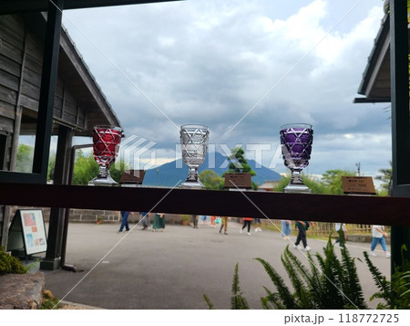 仙厳園と櫻島の風景 118772725