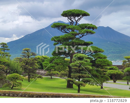 仙厳園と櫻島の風景 118772829