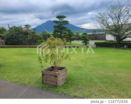仙厳園と櫻島の風景 仙厳園と櫻島の風景 118772838