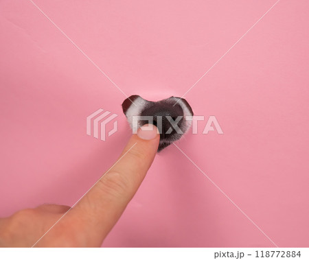 A man points to a dog's nose sticking out of a pink cardboard background. A hole in the shape of a heart. 118772884
