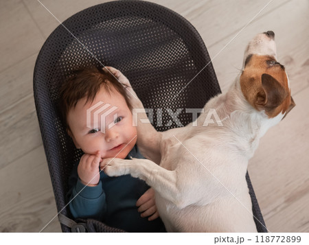 A dog and a cute three-month-old boy dressed in a blue overalls are sitting together in a baby lounger.  118772899