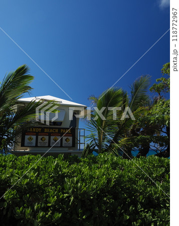 ハワイ　オアフ島　サンディビーチパーク 118772967