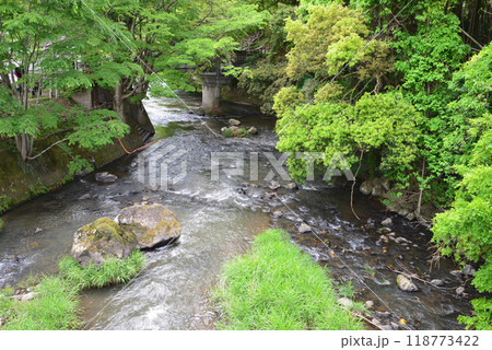 龍門の滝　2024-5-12　＃3 118773422