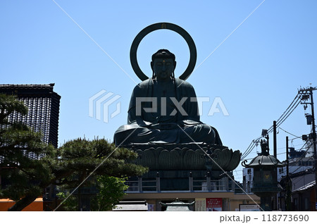 高岡大仏 高岡大仏 118773690