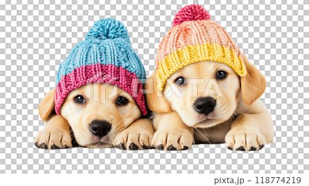 AI-generated item. Cute Labrador Retriever puppies in a knitted hat are isolated on a transparent background. 118774219