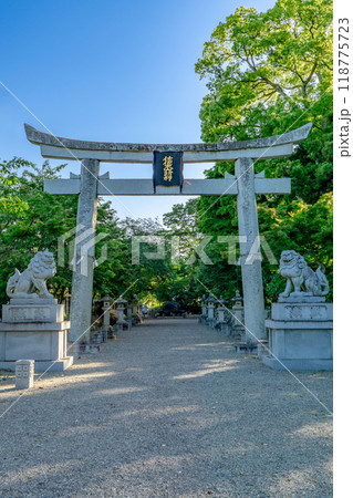 滋賀県近江八幡市安土町常楽寺　沙沙貴神社（近江源氏の氏神）　鳥居　佐々木姓発祥地 118775723