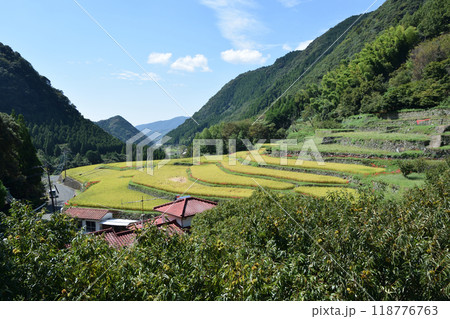彼岸花の咲く風景 118776763
