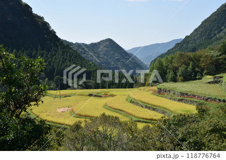 彼岸花の咲く風景 118776764