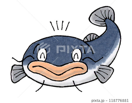 喜ぶナマズ 喜ぶナマズ 118776881