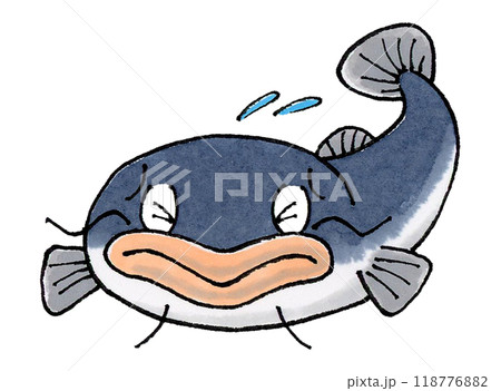 困るナマズ 118776882