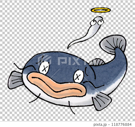 死鯰魚 死鯰魚 118776884