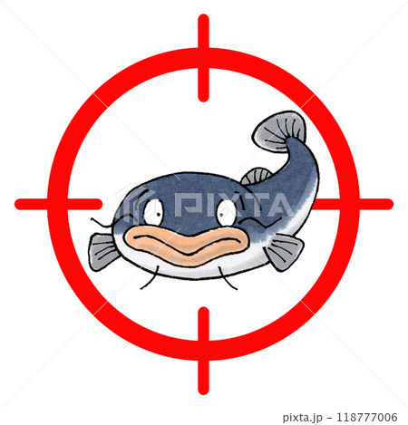 ナマズターゲットマークのイラスト素材 [118777006] - PIXTA