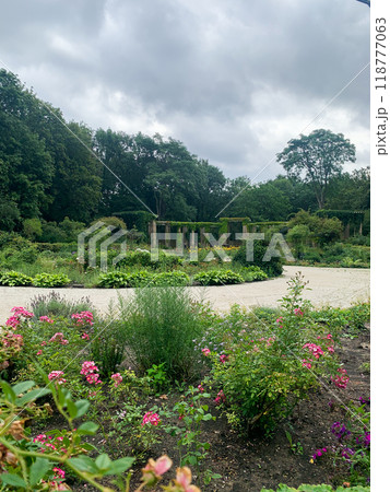 The Rose Garden n Tiergarten park in Berlin, Germany 118777063