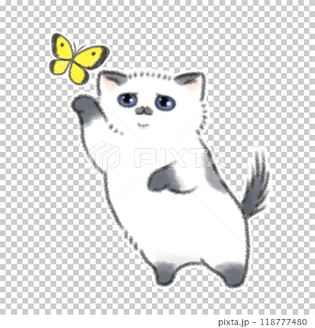 小貓蝴蝶玩耍 118777480