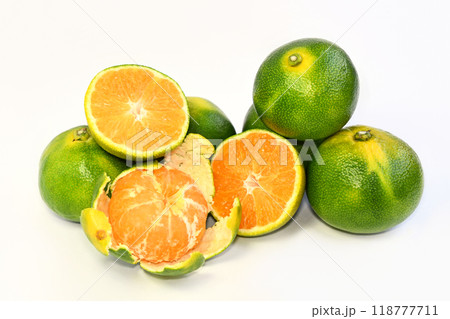 みかん(服部早生) みかん(服部早生) 118777711