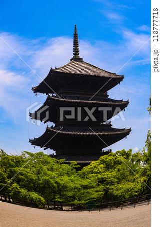 【京都風景】魚眼で見た東寺の五重塔 118777718