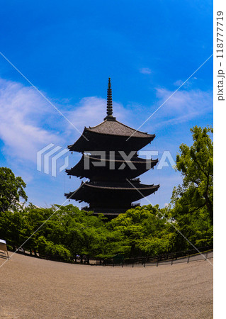【京都風景】魚眼で見た東寺の五重塔 118777719