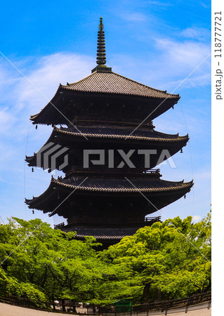 【京都風景】魚眼で見た東寺の五重塔 118777721