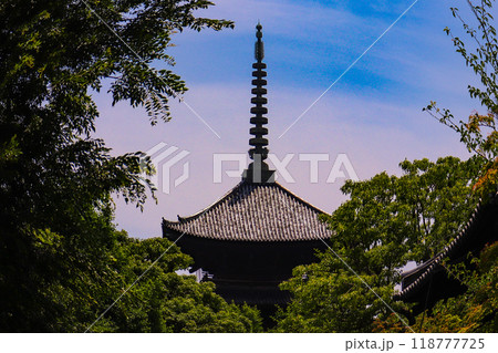 【京都風景】魚眼で見た東寺の五重塔 118777725