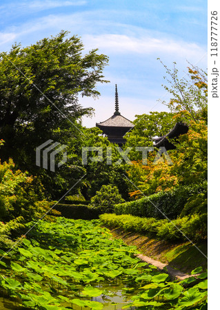 【京都風景】魚眼で見た東寺の五重塔 118777726