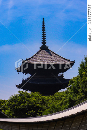 【京都風景】魚眼で見た東寺の五重塔 118777727