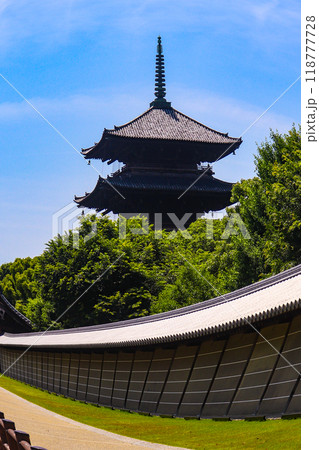 【京都風景】魚眼で見た東寺の五重塔 【京都風景】魚眼で見た東寺の五重塔 118777728