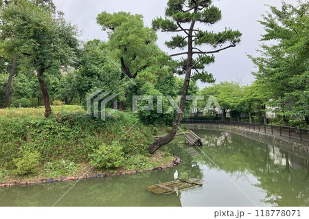 兵庫県指定文化財 猪名野古墳群を代表する御願塚古墳 前方後円墳 兵庫県指定文化財 猪名野古墳群を代表する御願塚古墳 前方後円墳 118778071