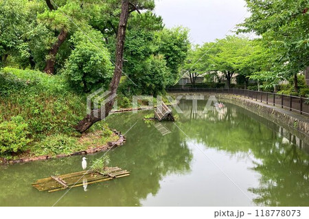 兵庫県指定文化財 猪名野古墳群を代表する御願塚古墳 前方後円墳 兵庫県指定文化財 猪名野古墳群を代表する御願塚古墳 前方後円墳 118778073